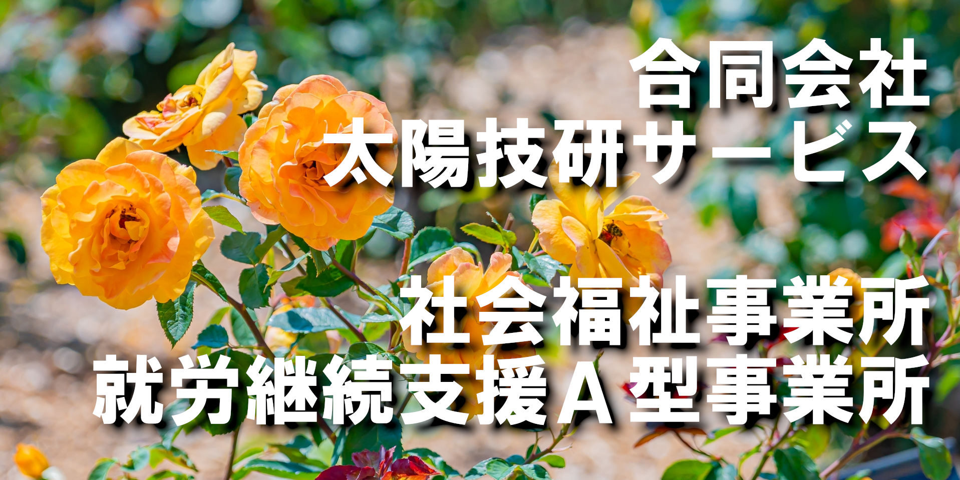 太陽技研サービスのイメージ